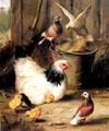 unknow artist Hen chicken and pigeon Sweden oil painting art